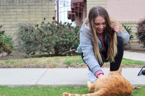 One Tribe: Find a stray? Call Aubree