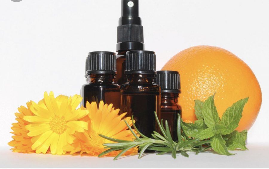 Essential Oils: Your “Essential” Guide to Winter Survival