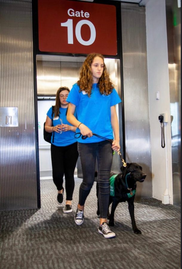 Sophomore+Hailey+Leochler+takes+a+trip+to+a+local+airport+with+Guide+Dogs+for+the+Blind+to+acclimate+the+dogs+to+daily+life.
