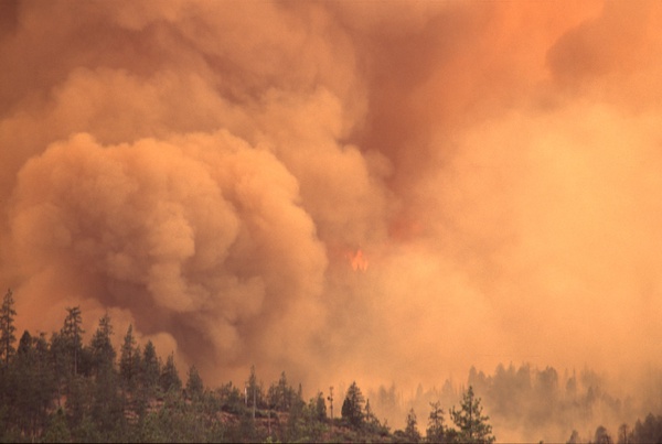 The Effect of the California Wildfires