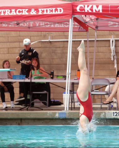 Ripon High’s First Ever Diver