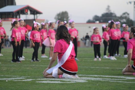Cheering Away the Seniors