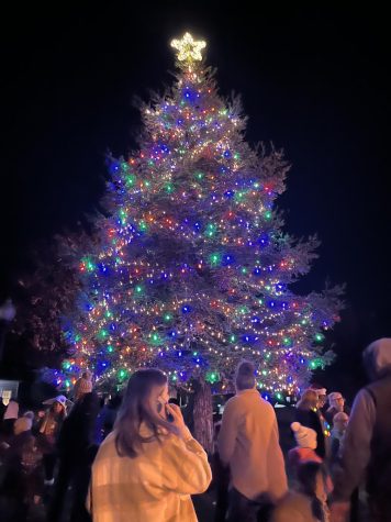 Bright Lights, Cold Hands and Warm Hearts: Ripons Annual Tree Lighting Ceremony