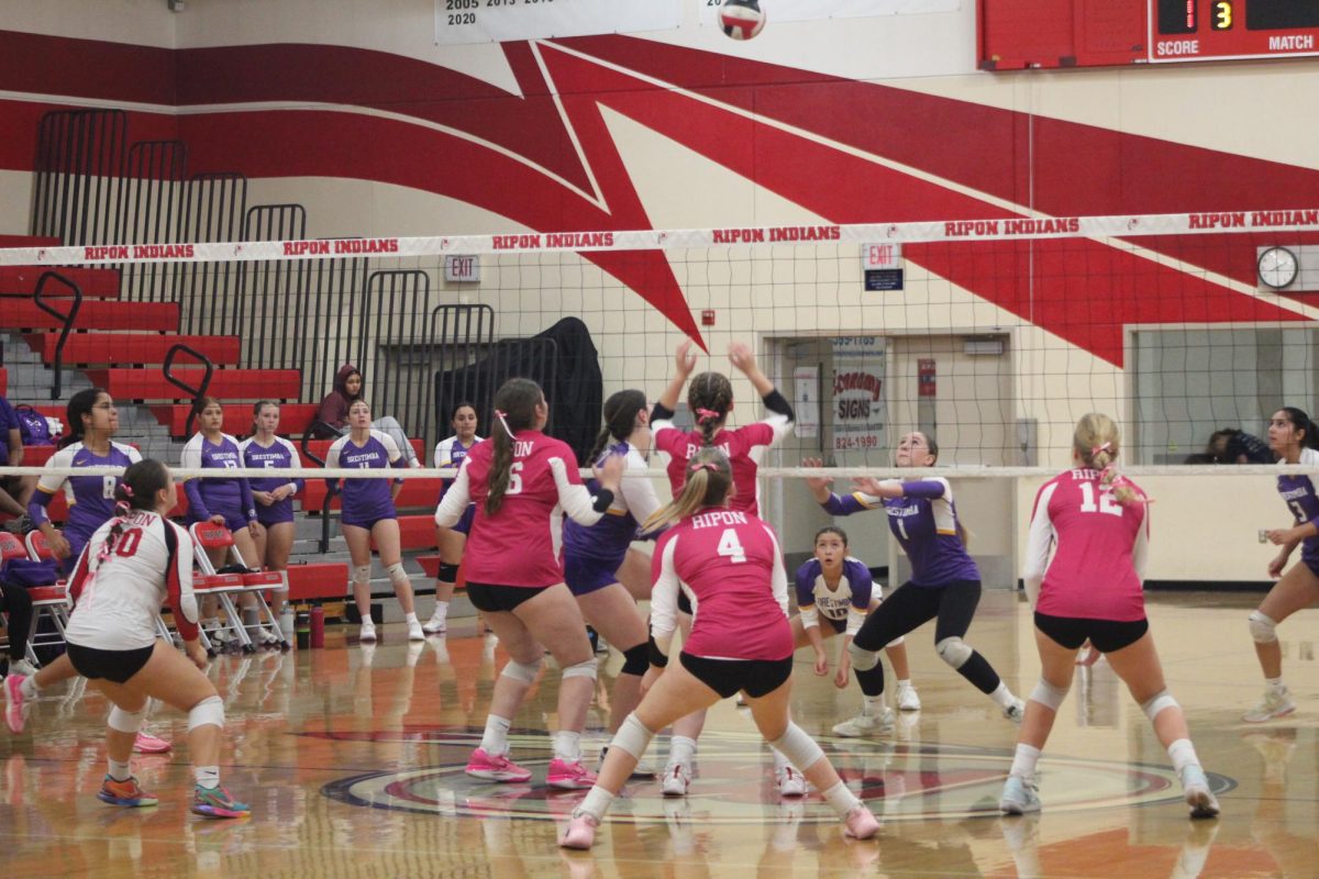 Varsity Volleyball Fights for Breast Cancer