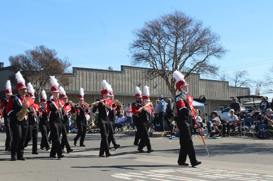 Parading Through the Blossoms