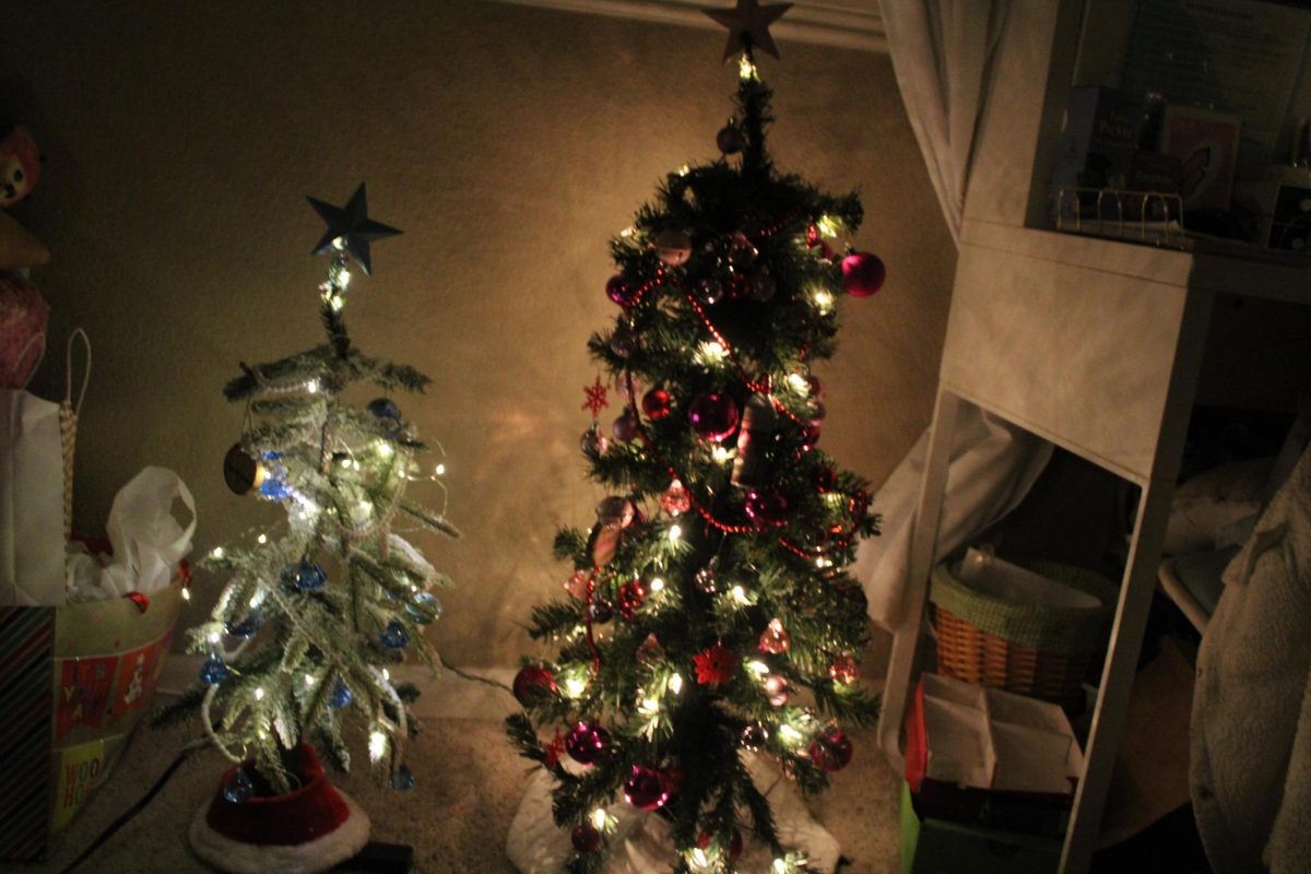 Did Christmas Start Too Early?