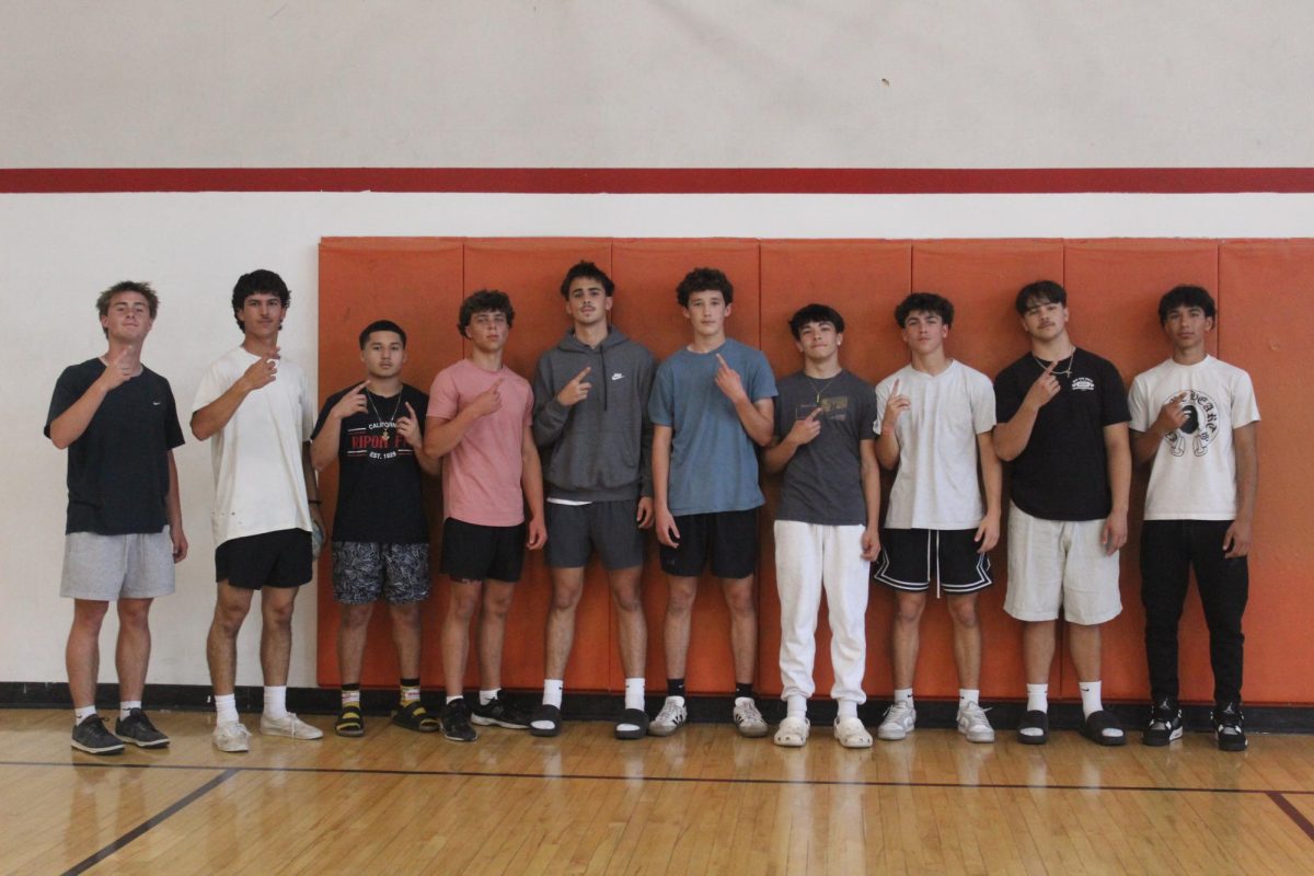The WolfBoys Team