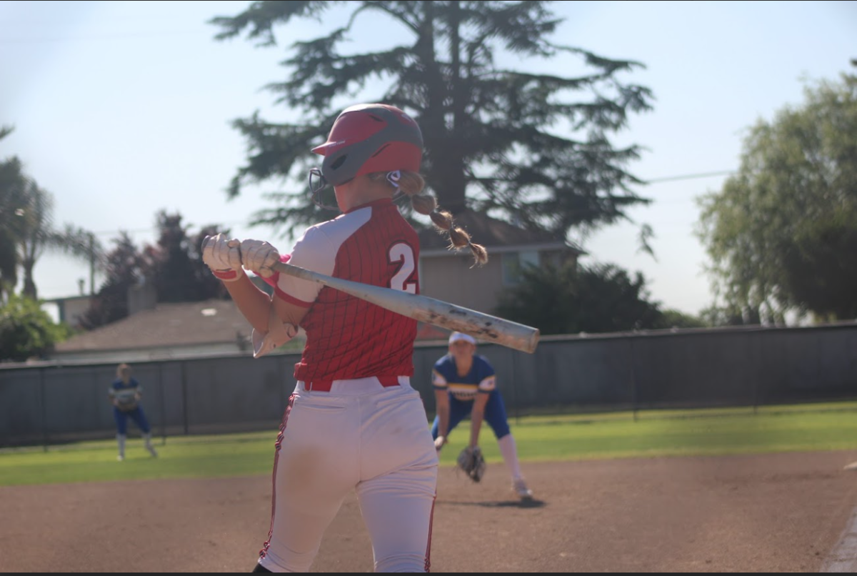 Sunshine and Softball
